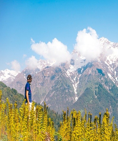 Srinagar Tour